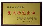 榮獲電子商務重點示范企業(yè)